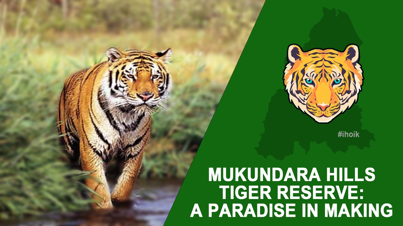 Mukundara Hills Tiger Reserve: A Paradise In Making